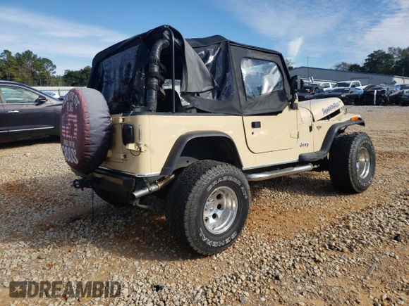 1993 Jeep Wrangler with VIN 1J4FY29S5PP247657, listed as a Copart auction lot 41595585 with 185,962 mi miles and Salvage Title. Bid and sale history available at carsss.com. Image 3.