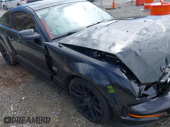 2006 Ford Mustang GT Deluxe with VIN 1ZVFT82H165131045, listed as a IAAI auction lot 41898142 with 124,643 mi miles and . Bid and sale history available at DreamBid. Image 17.