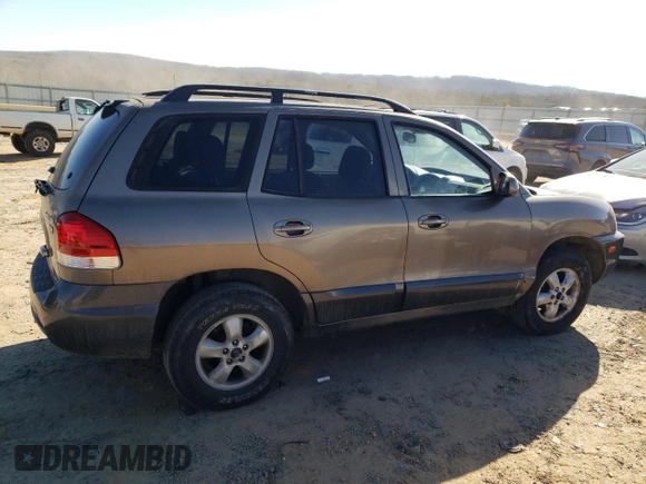 2005 Hyundai Santa Fe GLS with VIN KM8SC73E95U889313, listed as a Copart auction lot 42508925 with 187,643 mi miles and Salvage Title. Bid and sale history available at carsss.com. Image 3.