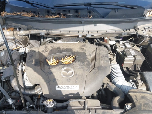 2018 Mazda CX-9 Touring with VIN JM3TCBCY5J0232071, listed as a IAAI auction lot 41488302 with 107,642 mi miles. Bid and sale history available at carsss.com. Image 10.