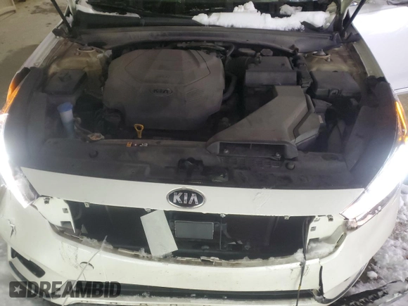 2018 Kia Cadenza Premium with VIN KNALC4J10J5096264, listed as a Copart auction lot 86757694 with 87,990 mi miles and Salvage Title. Bid and sale history available at DreamBid. Image 11.
