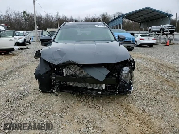2025 Hyundai Tucson SEL with VIN 5NMJB3DE2SH475822, listed as a Copart auction lot 46065935 with 2,123 mi miles and Salvage Title. Bid and sale history available at carsss.com. Image 12.