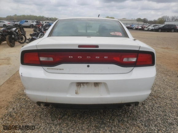2014 Dodge Charger Police with VIN 2C3CDXAT7EH367729, listed as a Copart auction lot 46520625 with 0 mi miles and Salvage Title. Bid and sale history available at carsss.com. Image 6.