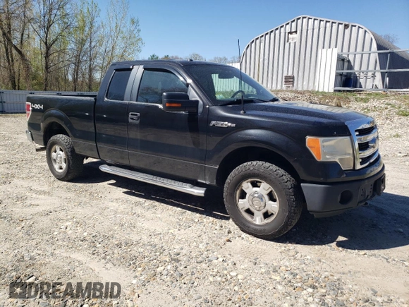 2013 Ford F-150 XL with VIN 1FTFX1EF4DFB87061, listed as a Copart auction lot 55293955 with 204,468 mi miles and Clean Title. Bid and sale history available at carsss.com. Image 4.