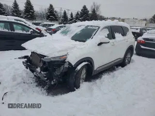 2019 Hyundai Santa Fe SE with VIN 5NMS2CAD9KH102793, listed as a Copart auction lot 43292245 with 160,903 mi miles and Salvage Title. Bid and sale history available at DreamBid. Image 1.