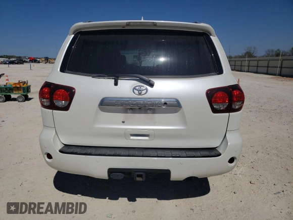 2019 Toyota Sequoia Platinum with VIN 5TDDY5G1XKS173918, listed as a Copart auction lot 45307304 with 63,343 mi miles. Bid and sale history available at carsss.com. Image 6.