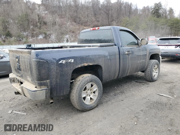 2011 Chevrolet Silverado 1500 Work Truck with VIN 1GCNKPEA6BZ182179, listed as a Copart auction lot 45946775 with Not Provided miles and Salvage Title. Bid and sale history available at DreamBid. Image 3.