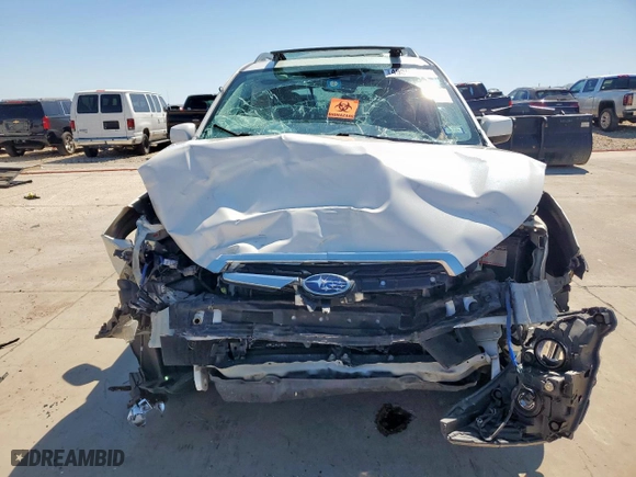 2017 Subaru Forester Premium with VIN JF2SJAEC5HH492229, listed as a Copart auction lot 49803145 with 0 mi miles and Salvage Title. Bid and sale history available at carsss.com. Image 5.