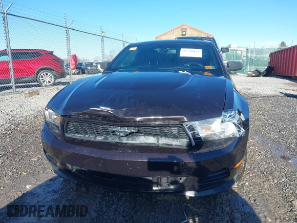 2012 Ford Mustang Premium with VIN 1ZVBP8AM4C5210870, listed as a IAAI auction lot 41521473 with 113,376 mi miles and . Bid and sale history available at DreamBid. Image 12.