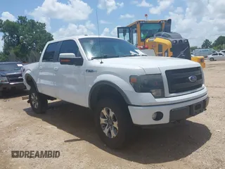 2013 Ford F-150 XL z VIN 1FTFW1EF6DKD93024, wystawiony jako IAAI lot #42534078 z przebiegiem 156 859 mil mil oraz . Historia ofert i sprzedaży dostępna na DreamBid. Obrazek 1.