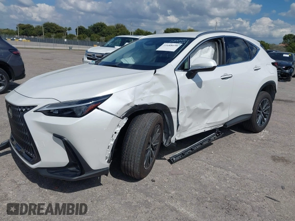 2024 Lexus NX 250 with VIN JTJADCAZ7R5022145, listed as a IAAI auction lot 41688698 with 5,699 mi miles and . Bid and sale history available at DreamBid. Image 17.