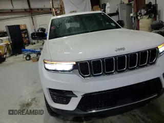 2024 Jeep Grand Cherokee Laredo X with VIN 1C4RJGAG2RC185995, listed as a Copart auction lot 56421785 with 19,068 mi miles and Salvage title. Bid and sale history available at DreamBid. Image 14.