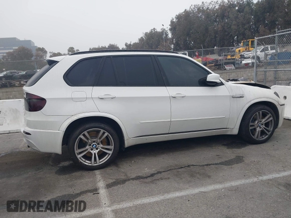 2010 BMW X5 M with VIN 5YMGY0C52ALK25509, listed as a IAAI auction lot 41227049 with 1 mi miles. Bid and sale history available at carsss.com. Image 13.