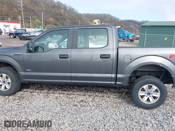 2015 Ford F-150 XLT with VIN 1FTEW1EP3FFC36728, listed as a IAAI auction lot 41971347 with 119,065 mi miles. Bid and sale history available at carsss.com. Image 15.