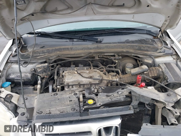 2008 Honda Pilot EX-L with VIN 5FNYF287X8B017612, listed as a IAAI auction lot 41491138 with 315,287 mi miles and . Bid and sale history available at DreamBid. Image 10.
