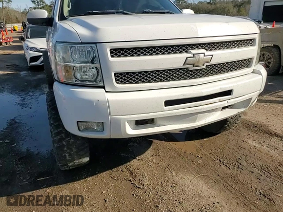 2009 Chevrolet Silverado 1500 LT with VIN 3GCEK23329G215535, listed as a Copart auction lot 46051705 with 173,940 mi miles and Salvage Title. Bid and sale history available at DreamBid. Image 11.