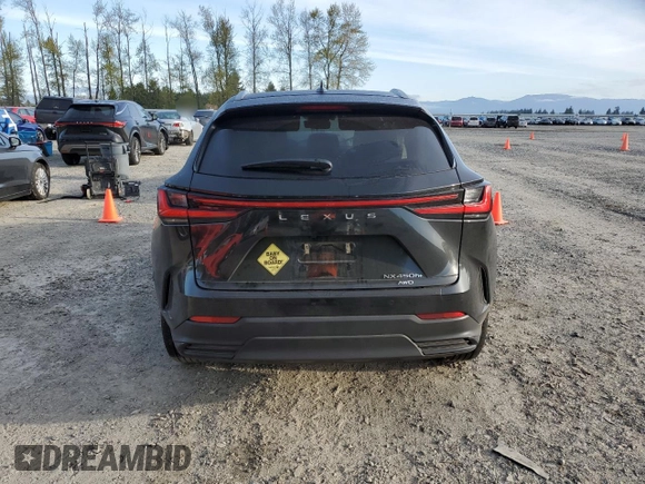 2022 Lexus NX with VIN JTJHKCFZ7N2004995, listed as a Copart auction lot 53300465 with 19,050 mi miles and Salvage Title. Bid and sale history available at carsss.com. Image 6.