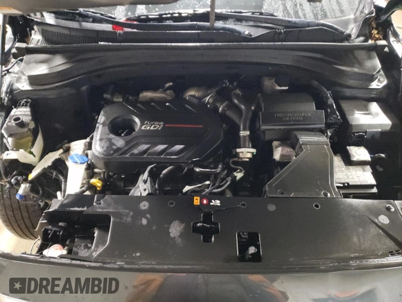 2020 Hyundai Santa Fe SEL with VIN 5NMS3CAA0LH152308, listed as a Copart auction lot 87057694 with 38,271 mi miles and Salvage Title. Bid and sale history available at carsss.com. Image 11.