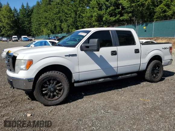 2010 Ford F-150 XL with VIN 1FTEW1E8XAFB89795, listed as a Copart auction lot 62423115 with 402,162 mi miles and Salvage title. Bid and sale history available at DreamBid. Image 1.