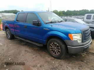 2009 Ford F-150 XL with VIN 1FTRW12W39FA11159, listed as a IAAI auction lot 42445358 with 108,599 mi miles and . Bid and sale history available at DreamBid. Image 1.