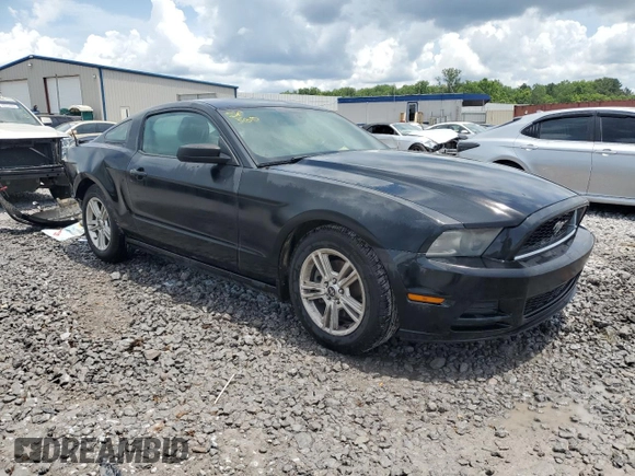 2013 Ford Mustang V6 с VIN 1ZVBP8AM5D5231065, выставлен на аукционе Copart как лот 60609505 с пробегом 228 509 миль миль и Списание • Salvage title. История ставок и продаж доступна на DreamBid. Изображение 4.