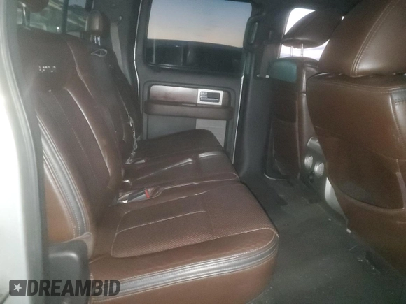 2009 Ford F-150 XL with VIN 1FTPW14V29FA39062, listed as a Copart auction lot 44239455 with 231,207 mi miles and Salvage title. Bid and sale history available at DreamBid. Image 10.