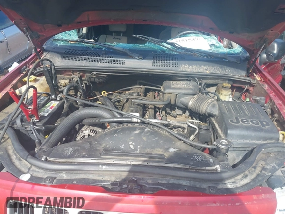 2004 Jeep Grand Cherokee Laredo with VIN 1J4GW48S34C419596, listed as a IAAI auction lot 42515494 with 276,196 mi miles and . Bid and sale history available at DreamBid. Image 10.