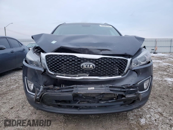 2016 Kia Sorento LX with VIN 5XYPGDA51GG139747, listed as a Copart auction lot 79558753 with 148,066 mi miles and Salvage Title. Bid and sale history available at DreamBid. Image 5.