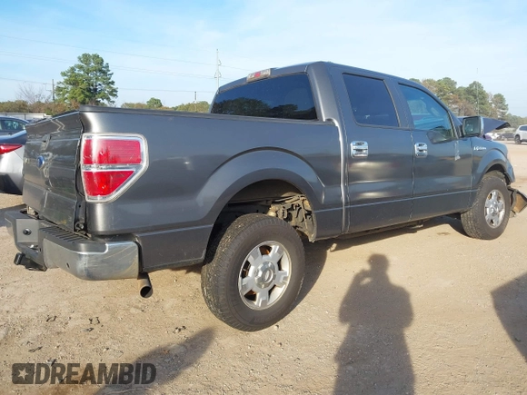 2010 Ford F-150 XL with VIN 1FTEW1C88AFA71456, listed as a IAAI auction lot 40961828 with 219,113 mi miles. Bid and sale history available at carsss.com. Image 4.