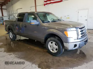 2009 Ford F-150 XL with VIN 1FTRW14879FB39001, listed as a Copart auction lot 53269955 with 123,871 mi miles and Clean Title. Bid and sale history available at carsss.com. Image 4.