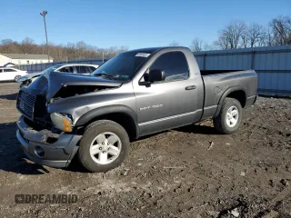 2002 Dodge 1500 z VIN 1D7HA16N12J143907, wystawiony jako Copart lot #43896005 z przebiegiem Nie podano mil oraz Szkoda całkowita • Salvage title. Historia ofert i sprzedaży dostępna na DreamBid. Obrazek 1.