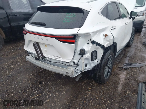 2025 Lexus NX with VIN 2T2HKCEZ3SC043032, listed as a IAAI auction lot 41704791 with 1,135 mi miles. Bid and sale history available at carsss.com. Image 4.