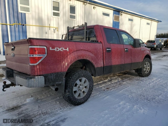2009 Ford F-150 XL with VIN 1FTRW14859FB07146, listed as a Copart auction lot 45553805 with 315,911 mi miles and Non Repairable. Bid and sale history available at carsss.com. Image 3.