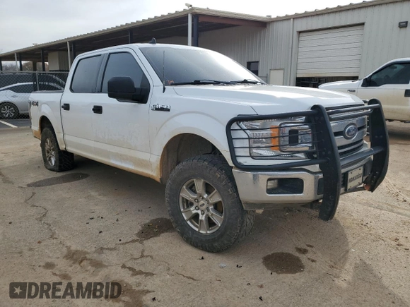 2019 Ford F-150 XL with VIN 1FTEW1EB2KKC81830, listed as a Copart auction lot 83880814 with 178,827 mi miles and Salvage Title. Bid and sale history available at carsss.com. Image 4.