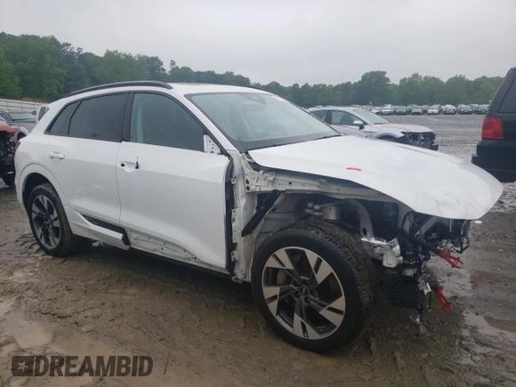 2022 Audi e-tron Premium with VIN WA1AAAGE2NB014917, listed as a Copart auction lot 50104223 with 25,123 mi miles. Bid and sale history available at carsss.com. Image 4.