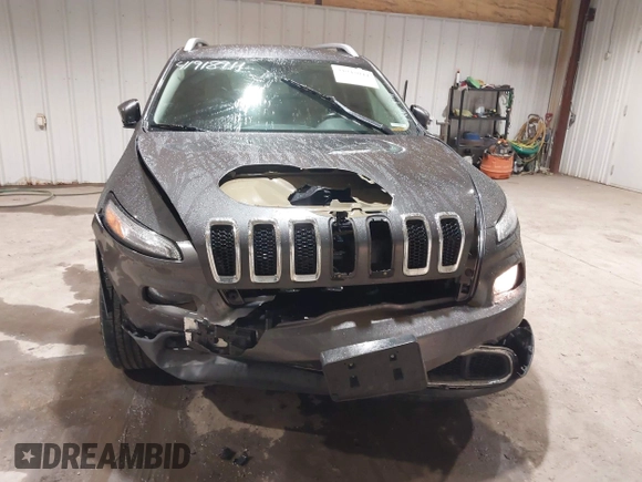 2016 Jeep Cherokee High Altitude with VIN 1C4PJLDB6GW280989, listed as a IAAI auction lot 41918911 with 142,695 mi miles. Bid and sale history available at carsss.com. Image 12.