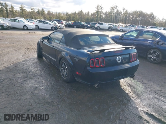 2007 Ford Mustang GT Deluxe with VIN 1ZVFT85H875335046, listed as a IAAI auction lot 41211492 with 108,509 mi miles and . Bid and sale history available at carsss.com. Image 3.