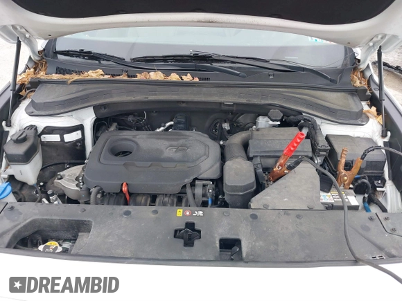 2019 Hyundai Santa Fe Limited with VIN 5NMS5CAD8KH048247, listed as a IAAI auction lot 41639121 with 66,627 mi miles. Bid and sale history available at carsss.com. Image 10.