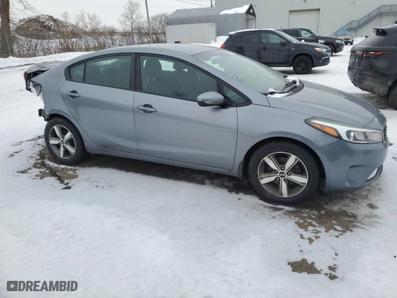 2018 Kia Forte LX with VIN 3KPFL4A72JE263216, listed as a Copart auction lot 45663865 with 125,256 mi miles and Salvage Title. Bid and sale history available at carsss.com. Image 4.