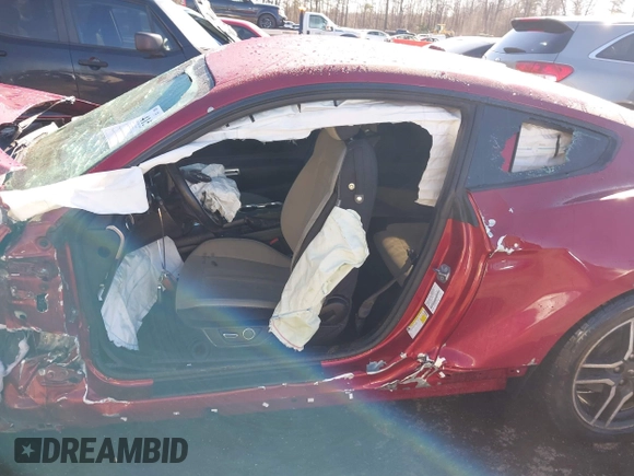 2019 Ford Mustang EcoBoost with VIN 1FA6P8TH3K5117315, listed as a IAAI auction lot 41542245 with Not Provided miles and . Bid and sale history available at carsss.com. Image 15.