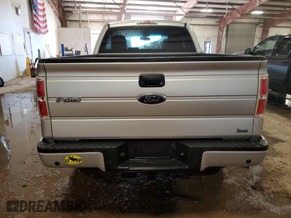 2010 Ford F-150 XL with VIN 1FTFX1EVXAFB17244, listed as a Copart auction lot 50025515 with 0 mi miles and Clean Title. Bid and sale history available at carsss.com. Image 6.