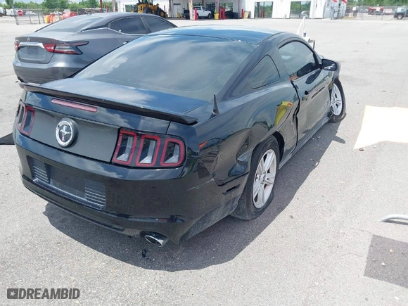 2014 Ford Mustang V6 with VIN 1ZVBP8AM3E5217165, listed as a IAAI auction lot 39801387 with 108,505 mi miles. Bid and sale history available at carsss.com. Image 4.