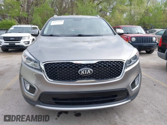 2017 Kia Sorento EX with VIN 5XYPHDA52HG323254, listed as a IAAI auction lot 42029230 with 272,952 mi miles and . Bid and sale history available at DreamBid. Image 12.