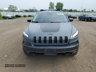 2014 Jeep Cherokee Trailhawk with VIN 1C4PJMBS4EW160341, listed as a Copart auction lot 60761475 with 135,087 mi miles and Salvage title. Bid and sale history available at DreamBid. Image 5.