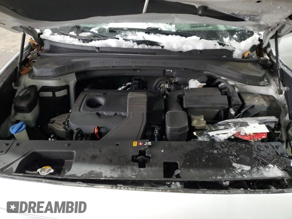 2019 Hyundai Santa Fe Ultimate with VIN 5NMS5CAD5KH002245, listed as a Copart auction lot 45110185 with 33,991 mi miles and Salvage Title. Bid and sale history available at carsss.com. Image 12.