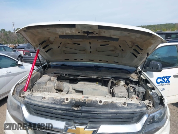 2017 Chevrolet Colorado 4WD Work Truck with VIN 1GCHTBEAXH1264713, listed as a IAAI auction lot 41674650 with 134,209 mi miles. Bid and sale history available at carsss.com. Image 10.