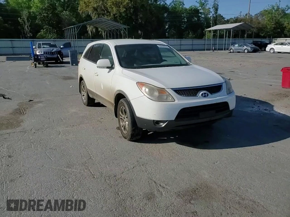 2008 Hyundai Veracruz GLS with VIN KM8NU13C28U065468, listed as a Copart auction lot 53039535 with 102,622 mi miles and Salvage title. Bid and sale history available at DreamBid. Image 12.