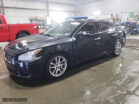 2010 Nissan Maxima 3.5 SV w/Sport Pkg with VIN 1N4AA5AP4AC875081, listed as a Copart auction lot 87683685 with 206,724 mi miles and Salvage Title. Bid and sale history available at carsss.com. Image 1.