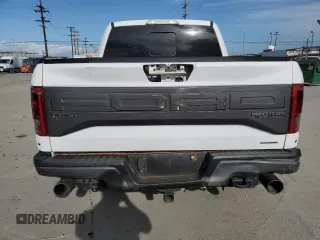2017 Ford F-150 Raptor with VIN 1FTFW1RG6HFB54428, listed as a Copart auction lot 51157125 with 46,227 mi miles and Salvage Title. Bid and sale history available at carsss.com. Image 6.