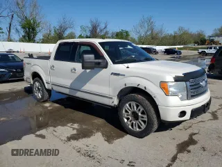 2009 Ford F-150 XL with VIN 1FTPW14V19FB17234, listed as a Copart auction lot 53957085 with 0 mi miles and Salvage Title. Bid and sale history available at carsss.com. Image 4.